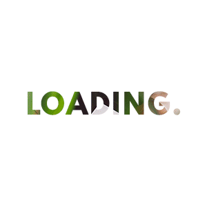 Loading AI automation site